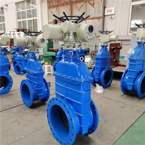 電動(dòng)閘閥Z941h -64 DN500（石化行業(yè)、煉油廠